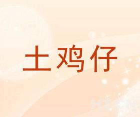 土雞仔商標轉(zhuǎn)讓推薦信息與網(wǎng)絡信息轉(zhuǎn)讓指南